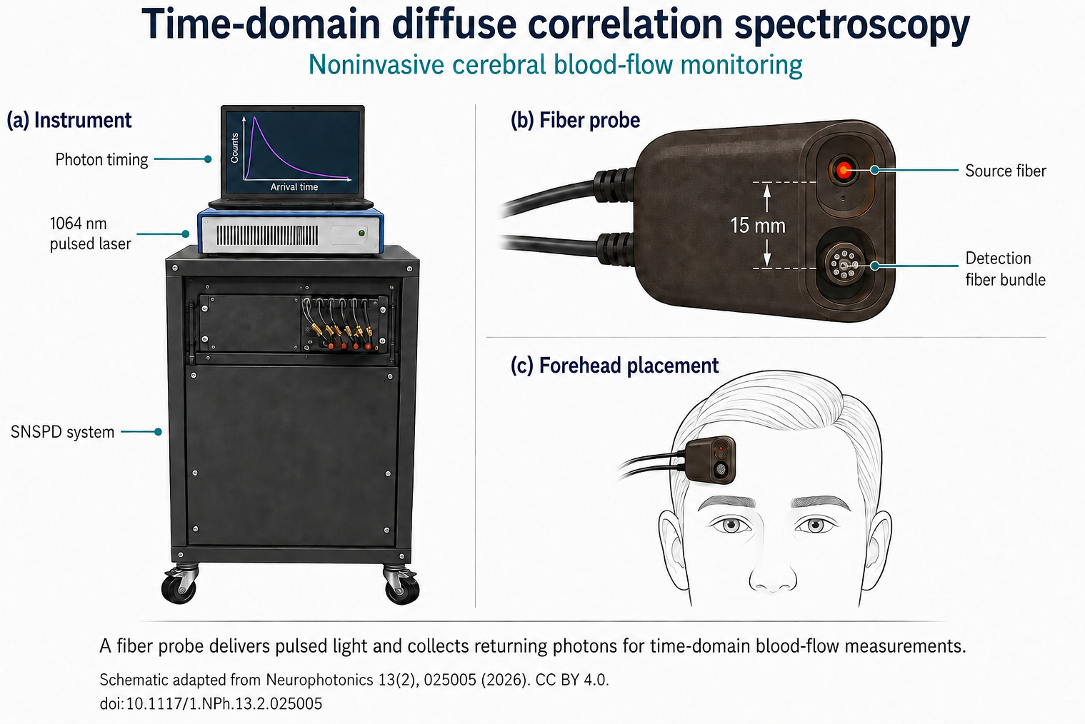 Time domain diffuse correlation spectroscopy, in 3 panels. Panel a shows the instrument, a superconducting nanowire single photon detector cabinet carrying a 1064 nanometre pulsed laser and a laptop, the laptop plotting photon counts against arrival time. Panel b shows the fiber probe, with the source fiber and the detection fiber bundle 15 millimetres apart. Panel c shows the probe placed on the right forehead of a person.